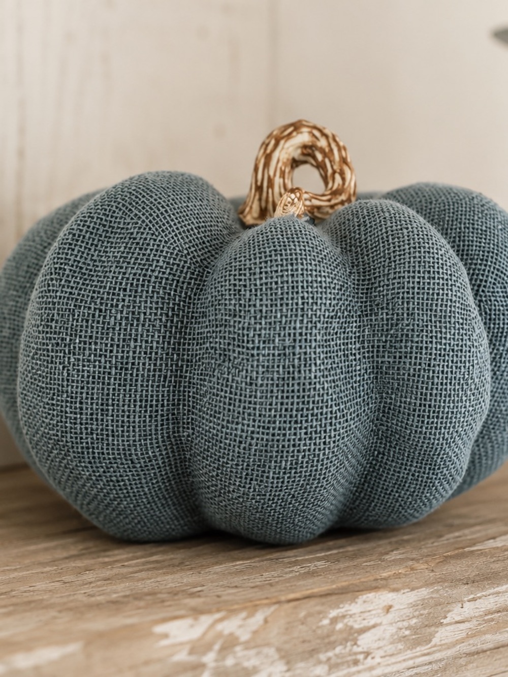 Farmhouse fall Textured Blue  Pumpkin accent decor